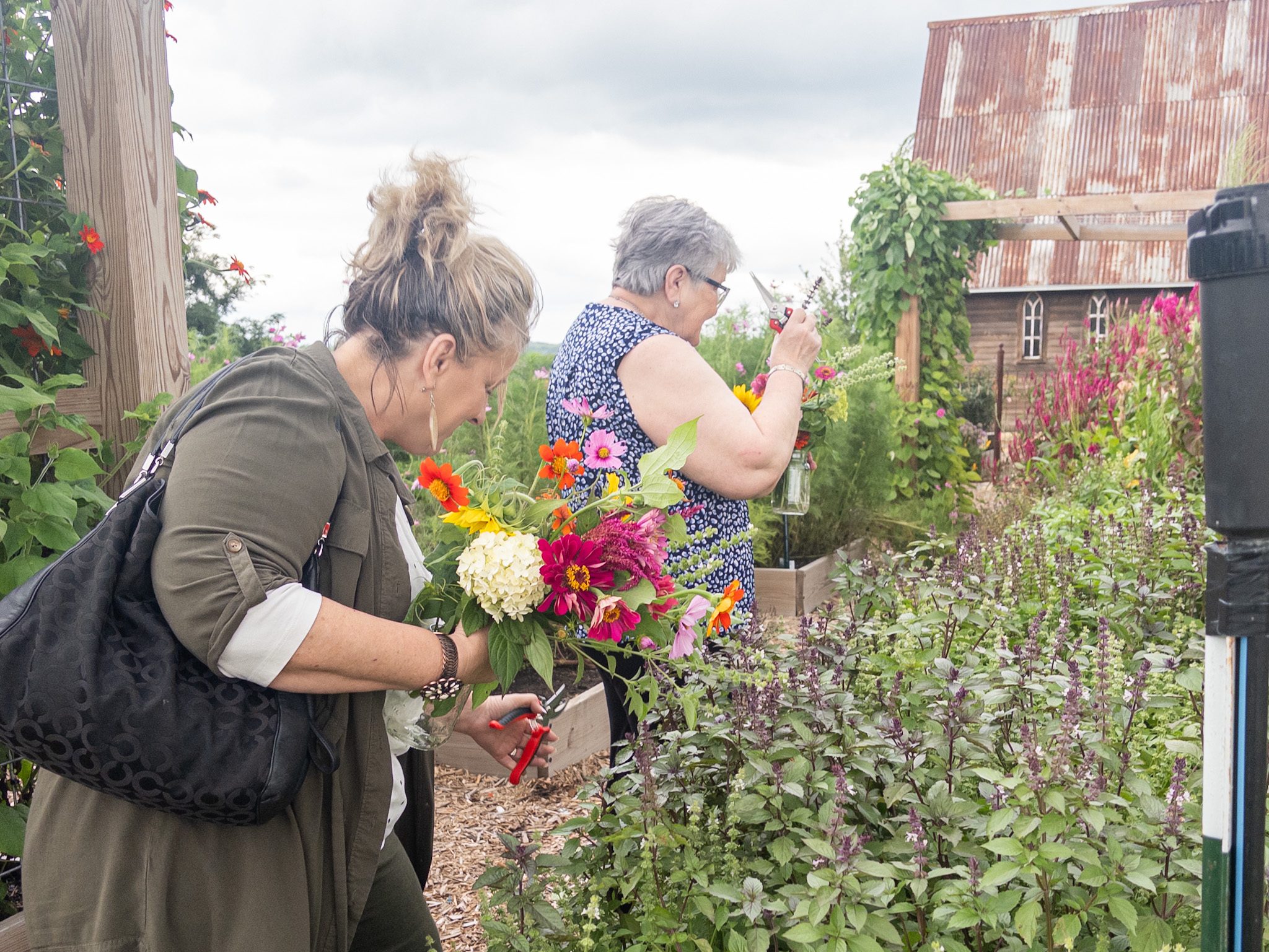 Red Barn Farm launches inaugural Wildflower Festival